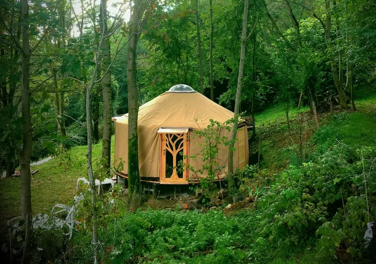 yurta nel bosco